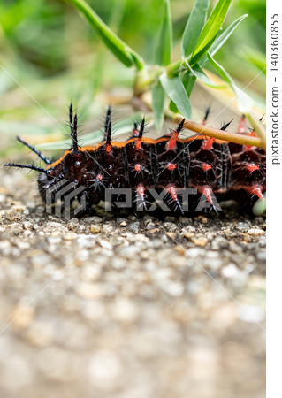 Caterpillar Caterpillar 140360855
