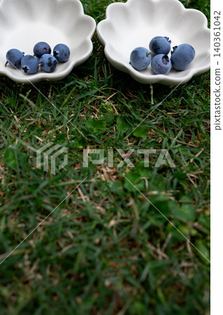 blueberry 140361042