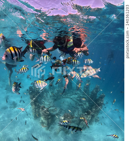 Snorkel with tropical fish above the underwater sculpture garden in the crystal clear ocean. Snorkel with tropical fish above the underwater sculpture garden in the crystal clear ocean. 140361203