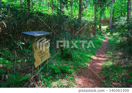岩龍峽谷綠意盎然;通往新瀑布的健行步道(舊禦嶽山健行步道的第二站)。 岩龍峽谷綠意盎然;通往新瀑布的健行步道(舊禦嶽山健行步道的第二站)。 140361309