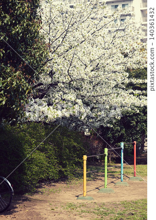 Spring in the park Spring in the park 140361432