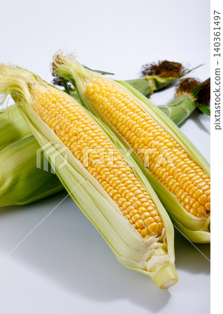 Fresh corn Fresh corn 140361497