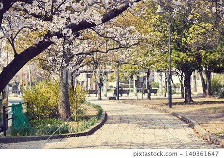 Shinjuku Park in Spring, Chiba Central 140361647