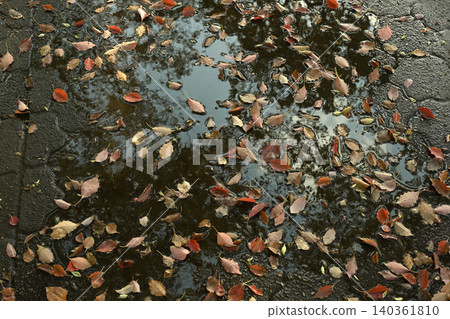 Puddles on the sidewalk, fallen leaves, after the rain Puddles on the sidewalk, fallen leaves, after the rain 140361810