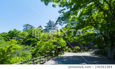 郡上八幡城 郡上八幡城 140361964