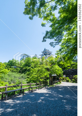 Gujo Hachiman Castle 140362002