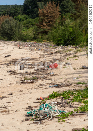 Dead trees and trash that have washed ashore and accumulated on the beach Dead trees and trash that have washed ashore and accumulated on the beach 140362012