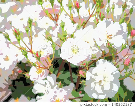 玫瑰(窄水 afr20260515073546) 玫瑰(窄水 afr20260515073546) 140362187