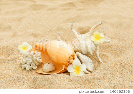 Seashells and flowers rest in soft sand on the beach Seashells and flowers rest in soft sand on the beach 140362306