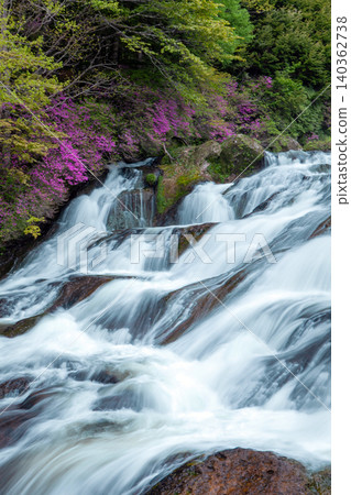 Landscape with Japanese azaleas and a waterfall (vertical) Landscape with Japanese azaleas and a waterfall (vertical) 140362738