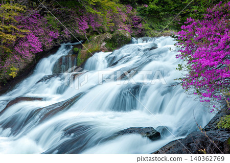 A landscape with a waterfall and Japanese azaleas. A landscape with a waterfall and Japanese azaleas. 140362769