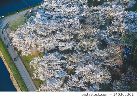 April 25 2026 Aerial View Of Blooming Cherry Blossom Trees Canopy April 25 2026 Aerial View Of Blooming Cherry Blossom Trees Canopy 140363301