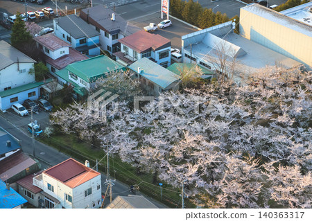 April 25 2026 Goryokaku Star Fort Aerial With Cherry Blossoms April 25 2026 Goryokaku Star Fort Aerial With Cherry Blossoms 140363317