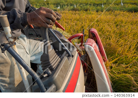 combine, combine harvester, rice harvesting 140363914