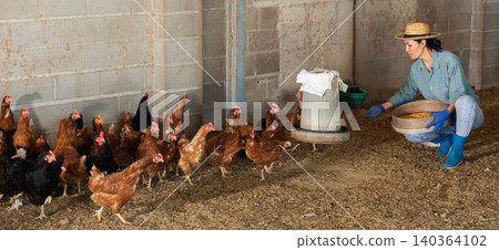Asian woman feeding hens in chicken coop 140364102