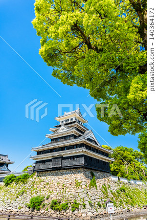 Oita Nakatsu Castle Oita Nakatsu Castle 140364172