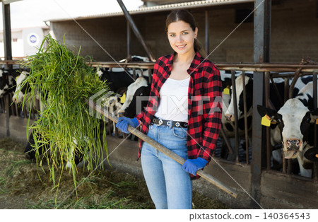 Young female farmer feeding cows with green grass in cowshed 140364543