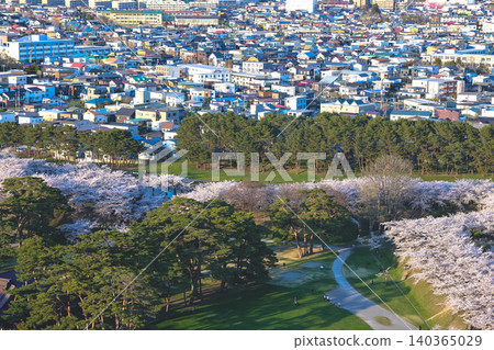 April 25 2026 Goryokaku Star Fort Surrounded By Cherry Blossoms April 25 2026 Goryokaku Star Fort Surrounded By Cherry Blossoms 140365029