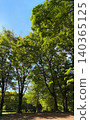 A park in the fresh greenery 01 140365125