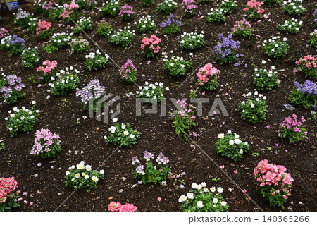  Flower garden 140365266