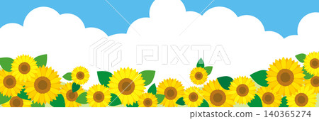向日葵夏季圖片橫幅框架/藍天 向日葵夏季圖片橫幅框架/藍天 140365274
