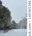 Snowfall in the park 140365346