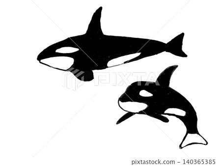 King of the Sea: Orca King of the Sea: Orca 140365385