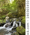 A stream flowing through a fresh green forest 140365450