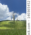 Prairie and blue sky 140365452