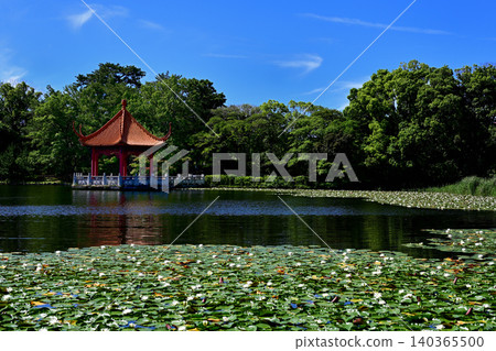 Midorigaoka Park, Water Lilies, Landscape 140365500