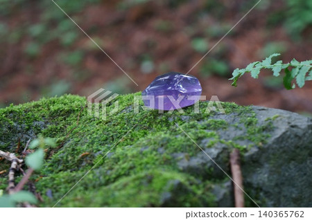 Amethyst on moss (horizontal view) Amethyst on moss (horizontal view) 140365762