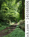 Forest road wrapped in fresh green 140366006