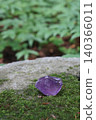 Amethyst placed on moss 140366011