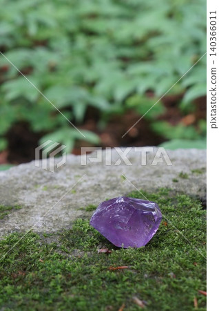 Amethyst placed on moss Amethyst placed on moss 140366011