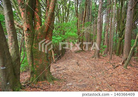 Izu Peninsula, Izu Mountain Ridge Trail, Tamanoyama Forest Hiking Trail Izu Peninsula, Izu Mountain Ridge Trail, Tamanoyama Forest Hiking Trail 140366409