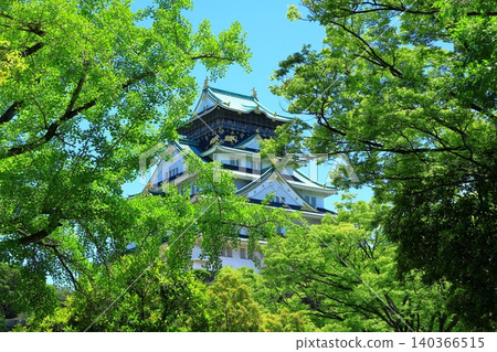 新鮮的綠色大阪城堡城堡塔 新鮮的綠色大阪城堡城堡塔 140366515