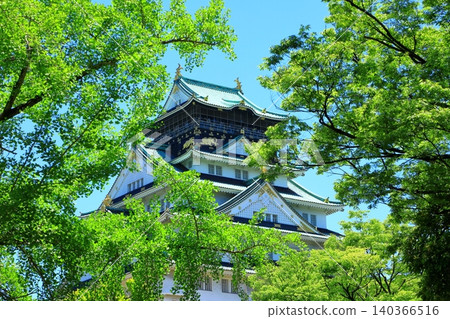 Fresh green Osaka Castle castle tower Fresh green Osaka Castle castle tower 140366516