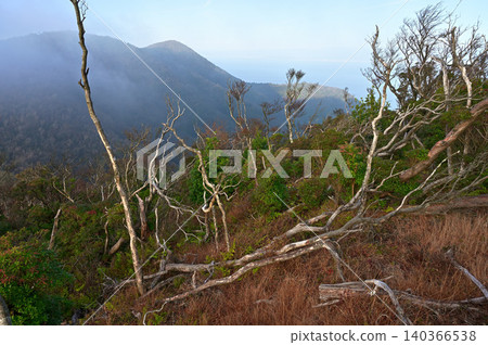 Izu Peninsula, Izu Mountain Ridge Trail, Asagiri no Misoudai viewed from Tamashiiyama 140366538