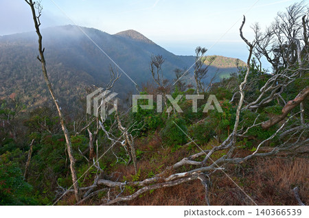 Izu Peninsula, Izu Mountain Ridge Trail, Asagiri no Misoudai viewed from Tamashiiyama 140366539