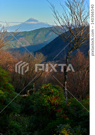 Mount Fuji in early winter, as seen from the forest of Tamashiiyama on the Izu mountain ridge trail of the Izu Peninsula. Mount Fuji in early winter, as seen from the forest of Tamashiiyama on the Izu mountain ridge trail of the Izu Peninsula. 140366540