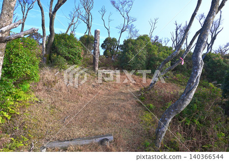 The entrance to Misoudai on the Izu Ridge Trail, a mountain on the Izu Peninsula. The entrance to Misoudai on the Izu Ridge Trail, a mountain on the Izu Peninsula. 140366544