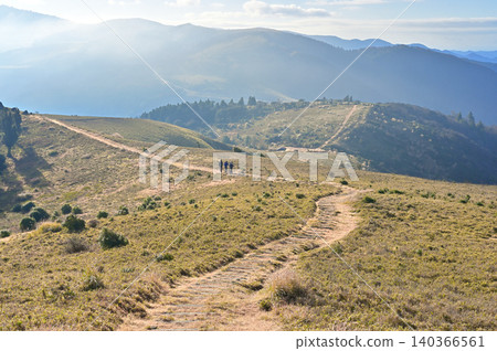 伊豆半島,玉之山,宇久須峠,伊豆山脊步道草原小徑 伊豆半島,玉之山,宇久須峠,伊豆山脊步道草原小徑 140366561