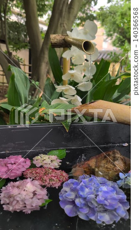 繡球花傳遞著季節的氣息和日式空間的意境-福岡市箱崎神社 繡球花傳遞著季節的氣息和日式空間的意境-福岡市箱崎神社 140366568