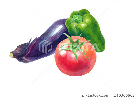 A watercolor illustration of a set of three fresh summer vegetables (tomato, eggplant, and bell pepper). 140366662