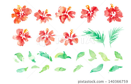 水彩芙蓉熱帶邊框及背景素材組：夏季植物設計系列 140366759