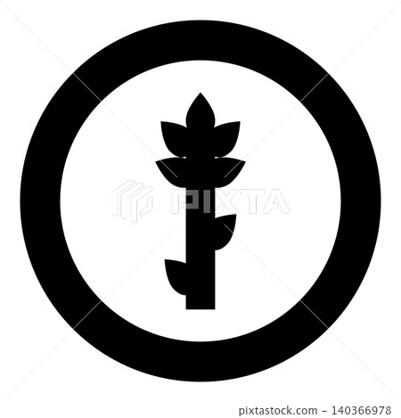 Asparagus plant healthy concept food icon in circle round black color vector illustration image solid outline style Asparagus plant healthy concept food icon in circle round black color vector illustration image solid outline style 140366978