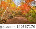 Hiking trails dyed in autumn colors in West Tanzawa 140367170