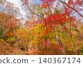Hiking trails dyed in autumn colors in West Tanzawa 140367174