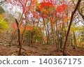 Hiking trails dyed in autumn colors in West Tanzawa 140367175