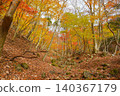 Hiking trails dyed in autumn colors in West Tanzawa 140367179